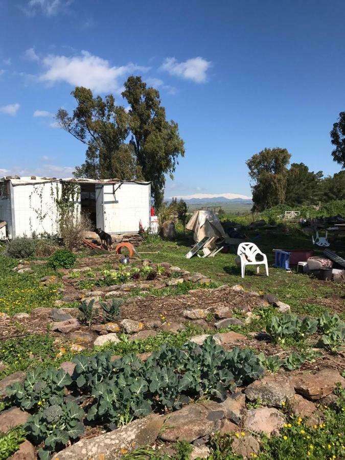 Natura-Eco Farm Exterior foto
